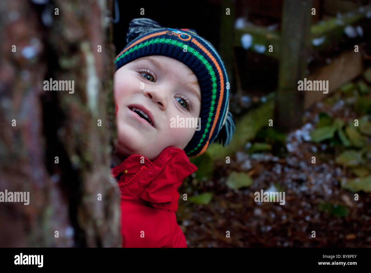 3 ans enfant mignon portant un chapeau d'hiver se reflète de derrière un arbre Banque D'Images