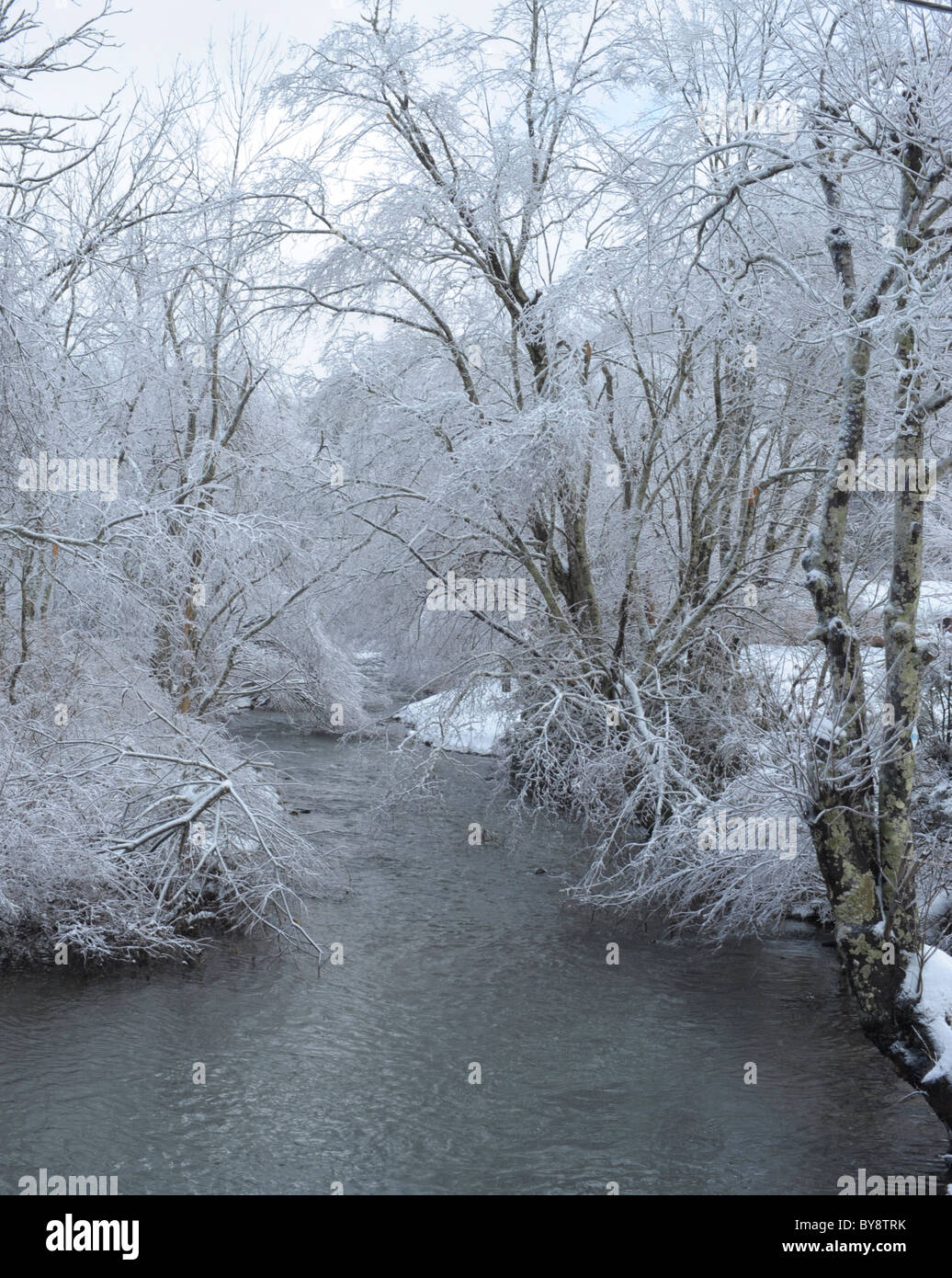 Tablier de la New River, Boone, NC en hiver profonde qui coule à travers une forêt recouverte de glace rime Banque D'Images