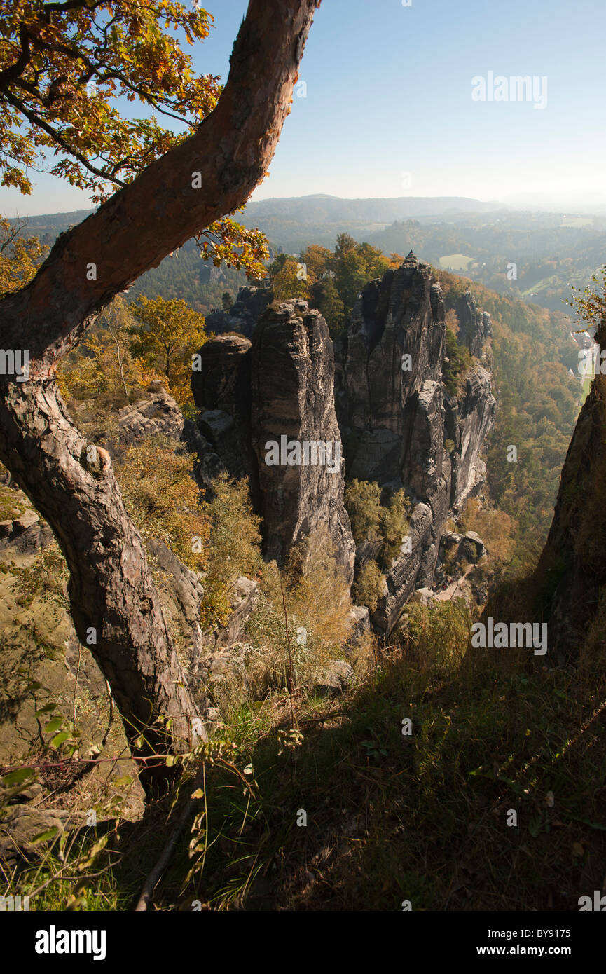 Saxon-Switzerland National Park, Saxe, Allemagne, Europe Banque D'Images