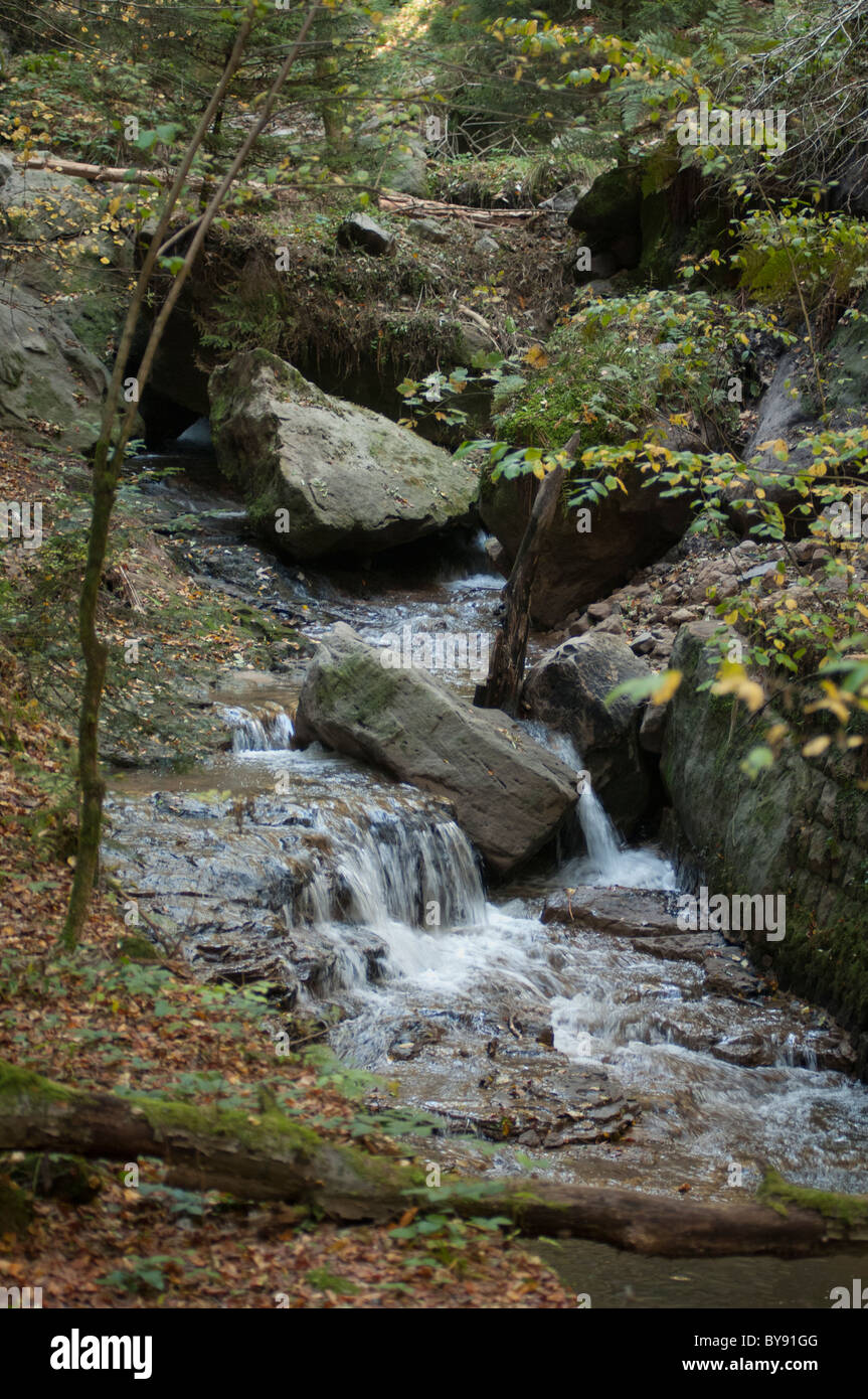 Saxon-Switzerland National Park, Saxe, Allemagne, Europe Banque D'Images