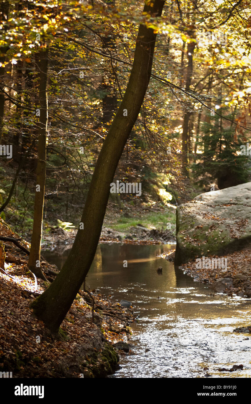 Saxon-Switzerland National Park, Saxe, Allemagne, Europe Banque D'Images