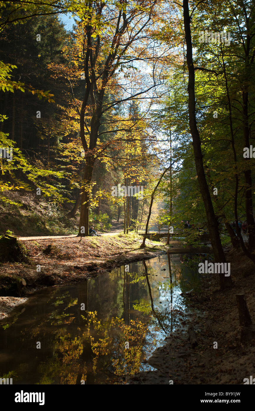 Saxon-Switzerland National Park, Saxe, Allemagne, Europe Banque D'Images