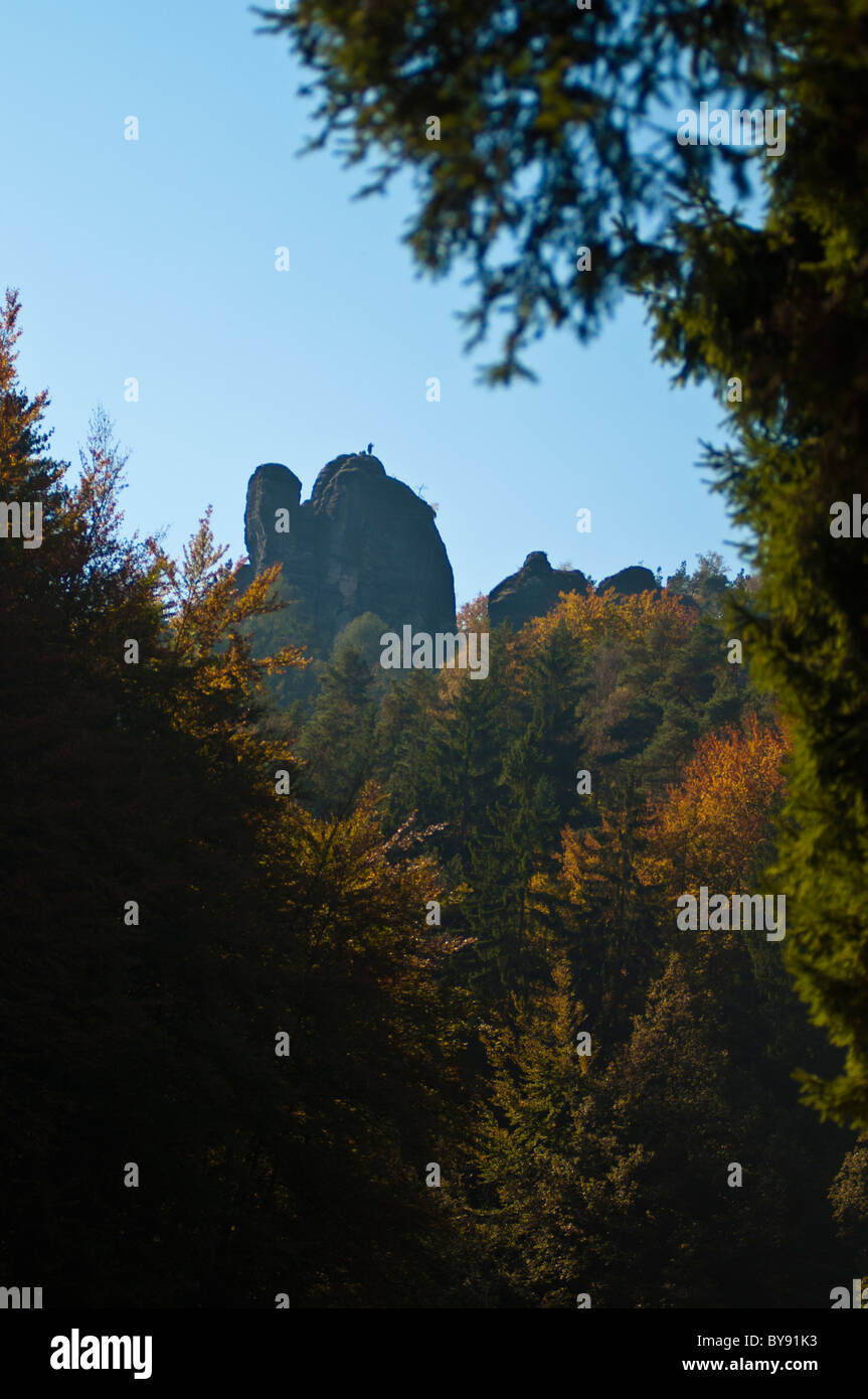 Saxon-Switzerland National Park, Saxe, Allemagne, Europe Banque D'Images