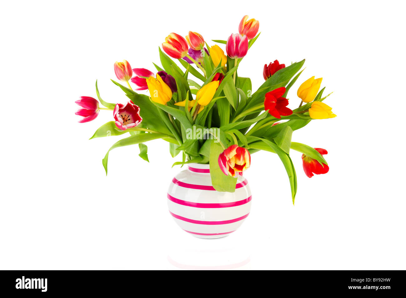 Bouquet tulipes colorées en vase isolé sur fond blanc à rayures Banque D'Images