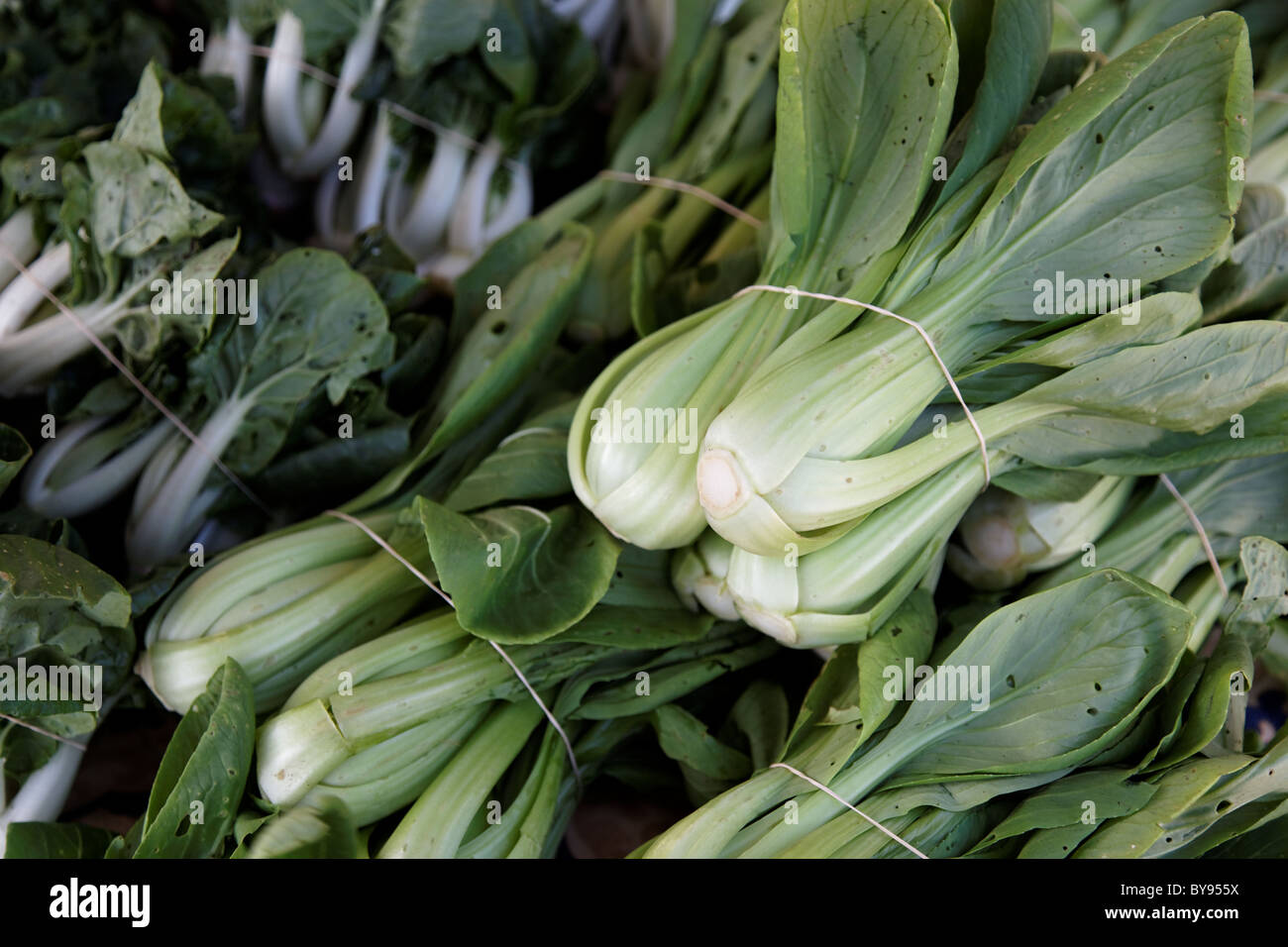 Les légumes bio vert frais Banque D'Images