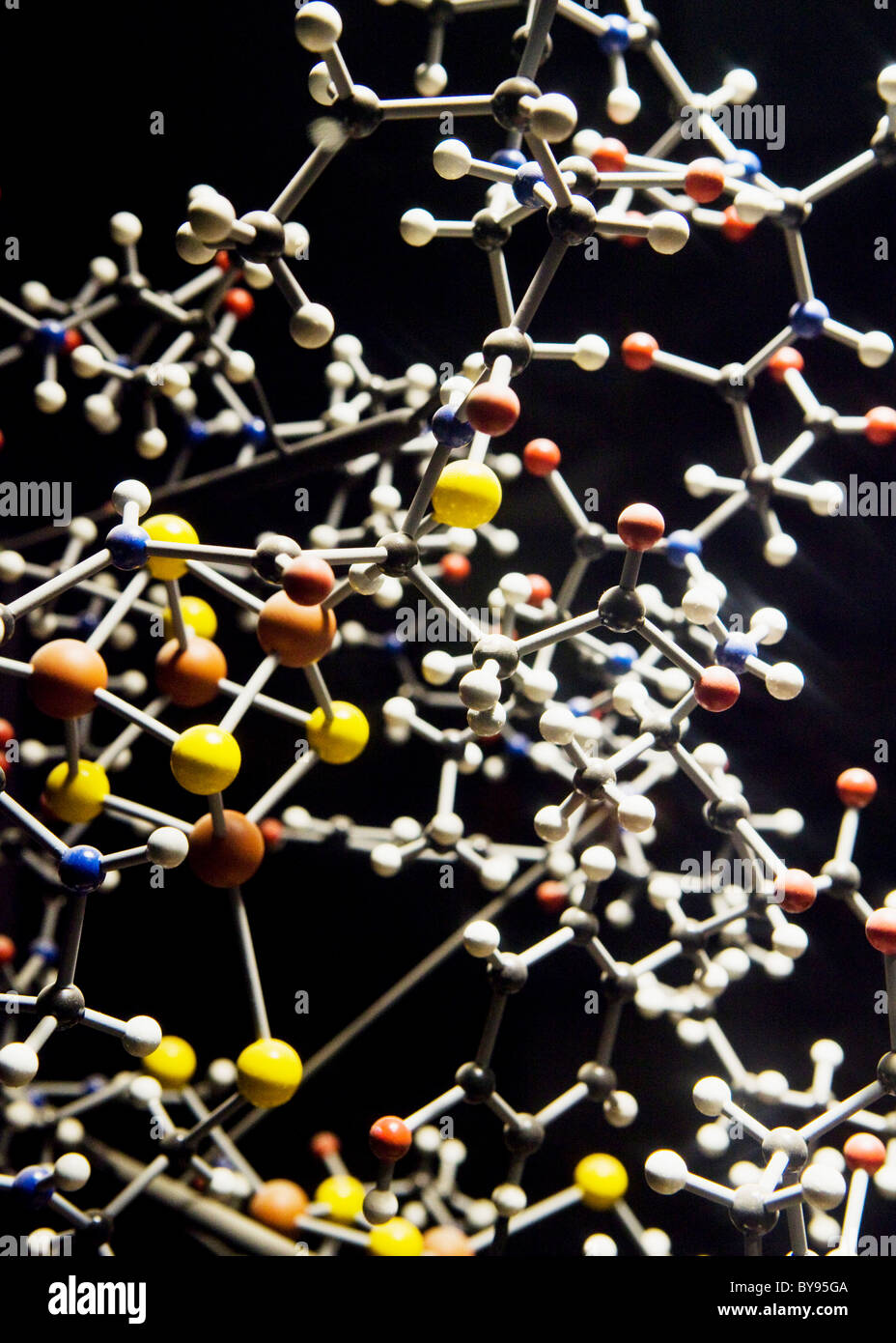 Modèle de molécule de protéine Banque D'Images