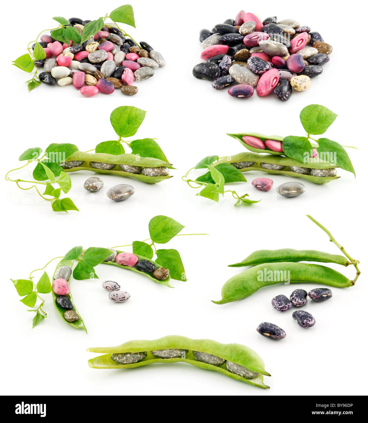 Collection de haricots mûrs isolés avec des semences Banque D'Images