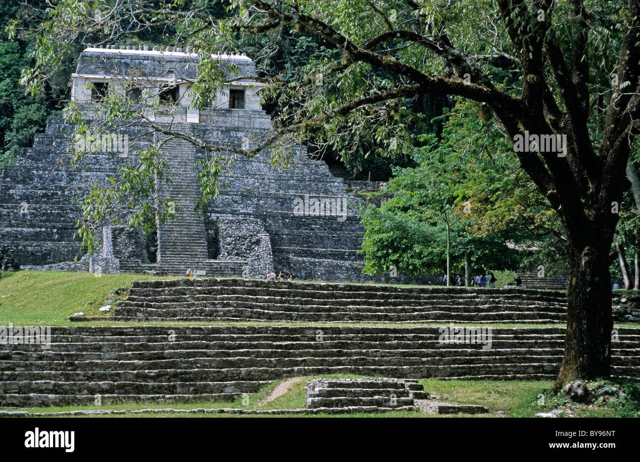 L'État de Chiapas, Mexique : le Temple des Inscriptions de Palenque Banque D'Images