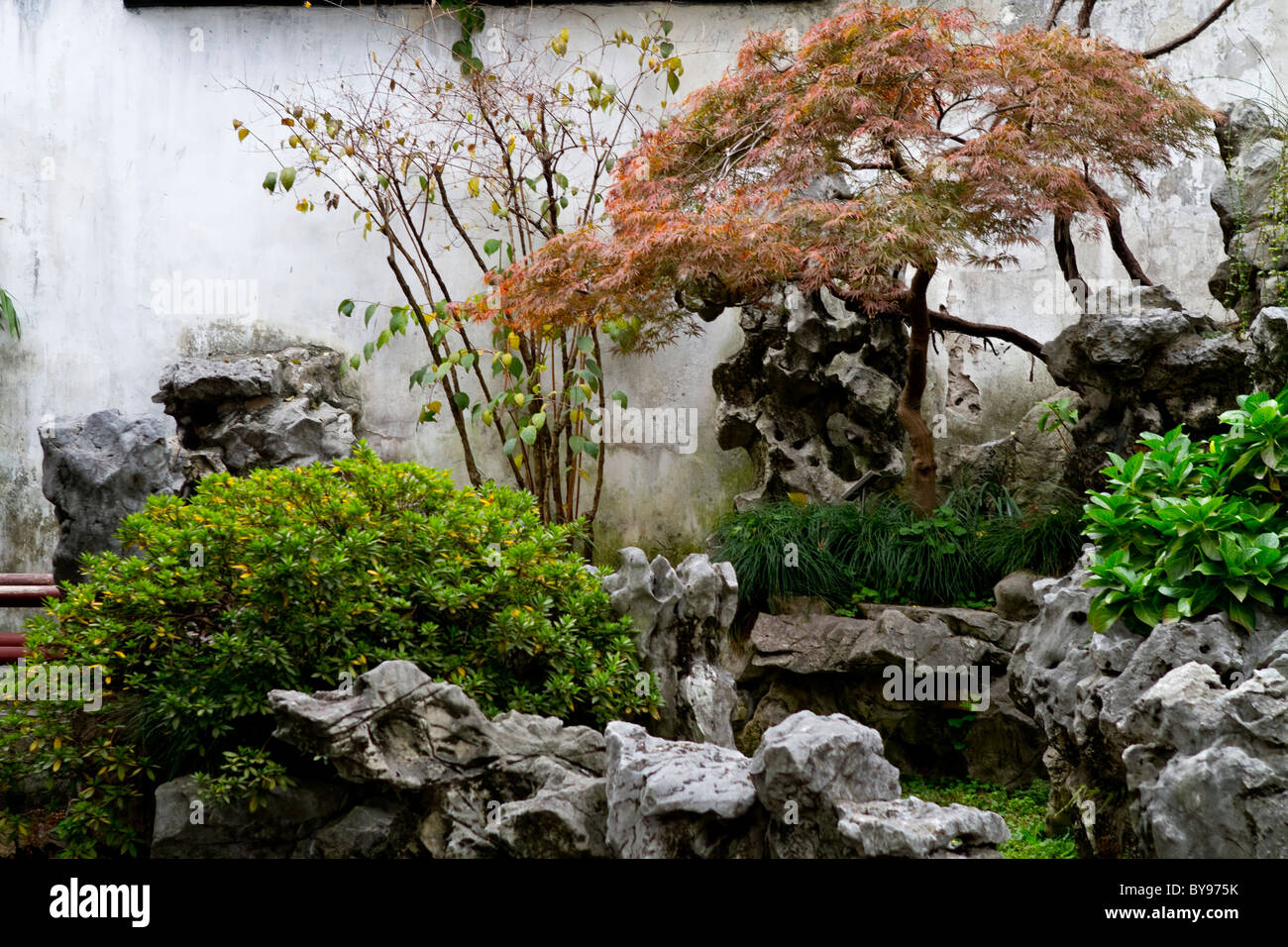 Yu Gardens, un jardin chinois à Shanghai Chine Banque D'Images