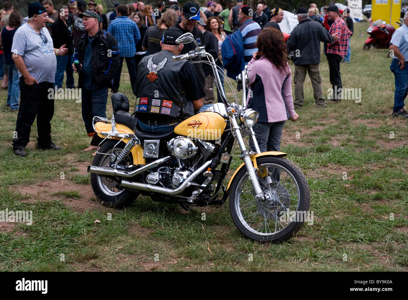 Chopper harley davidson Banque de photographies et d’images à haute ...