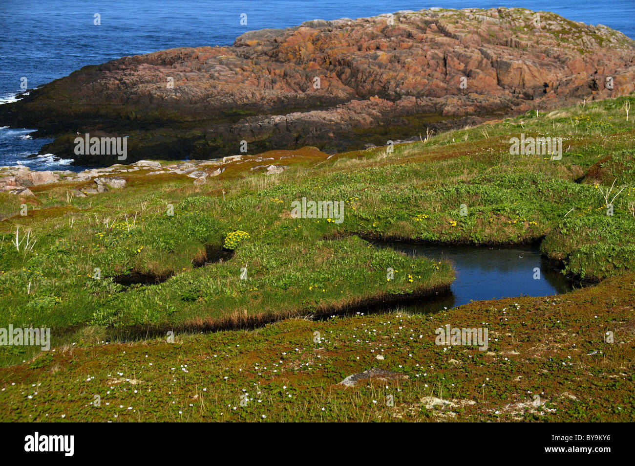 Paysage de la mer de Barents, les régions de l'Arctique, Russie Banque D'Images