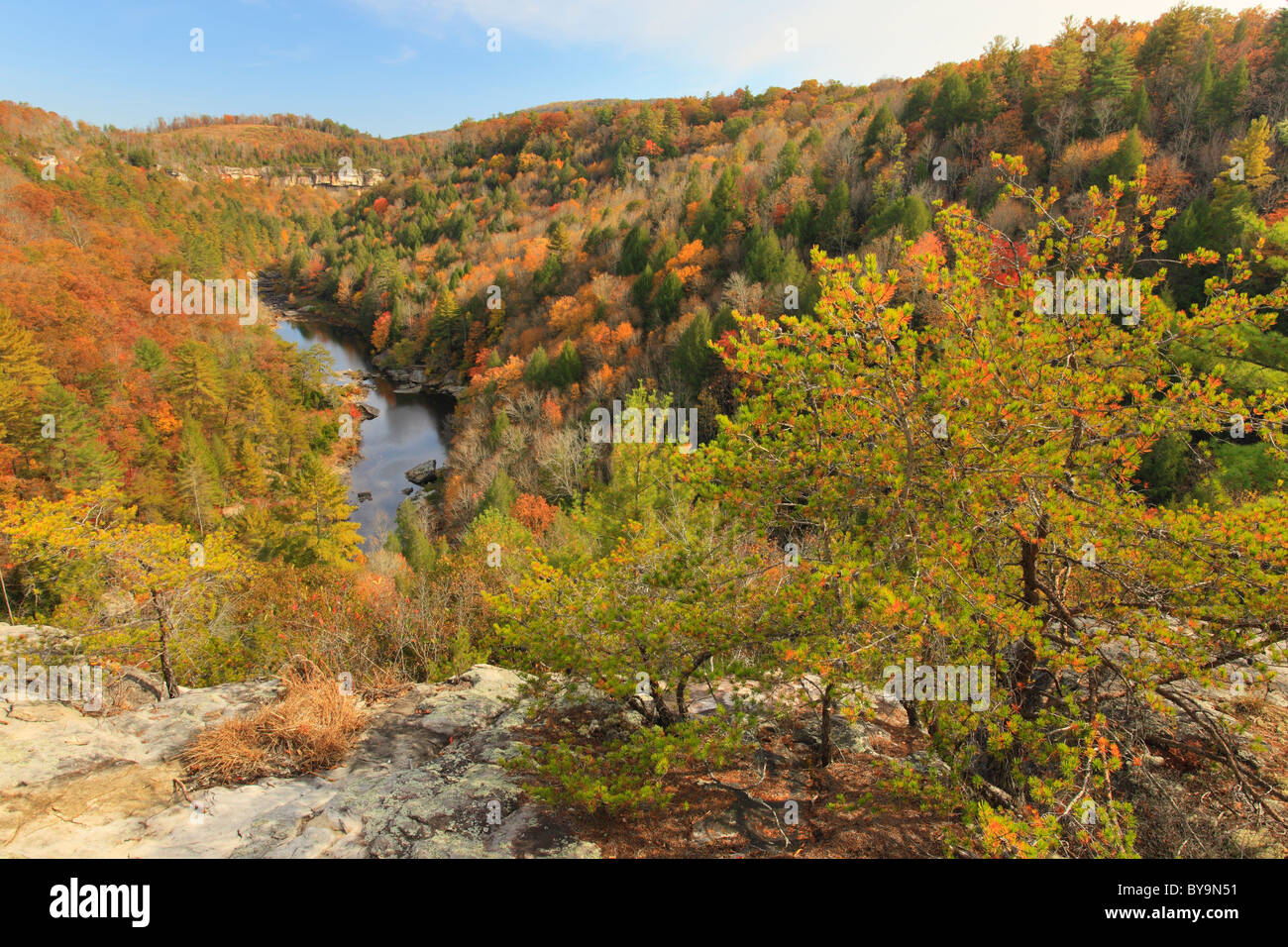 Obed Wild and Scenic River, Lilly Bluffs surplombent, Wartburg, Illinois, USA Banque D'Images