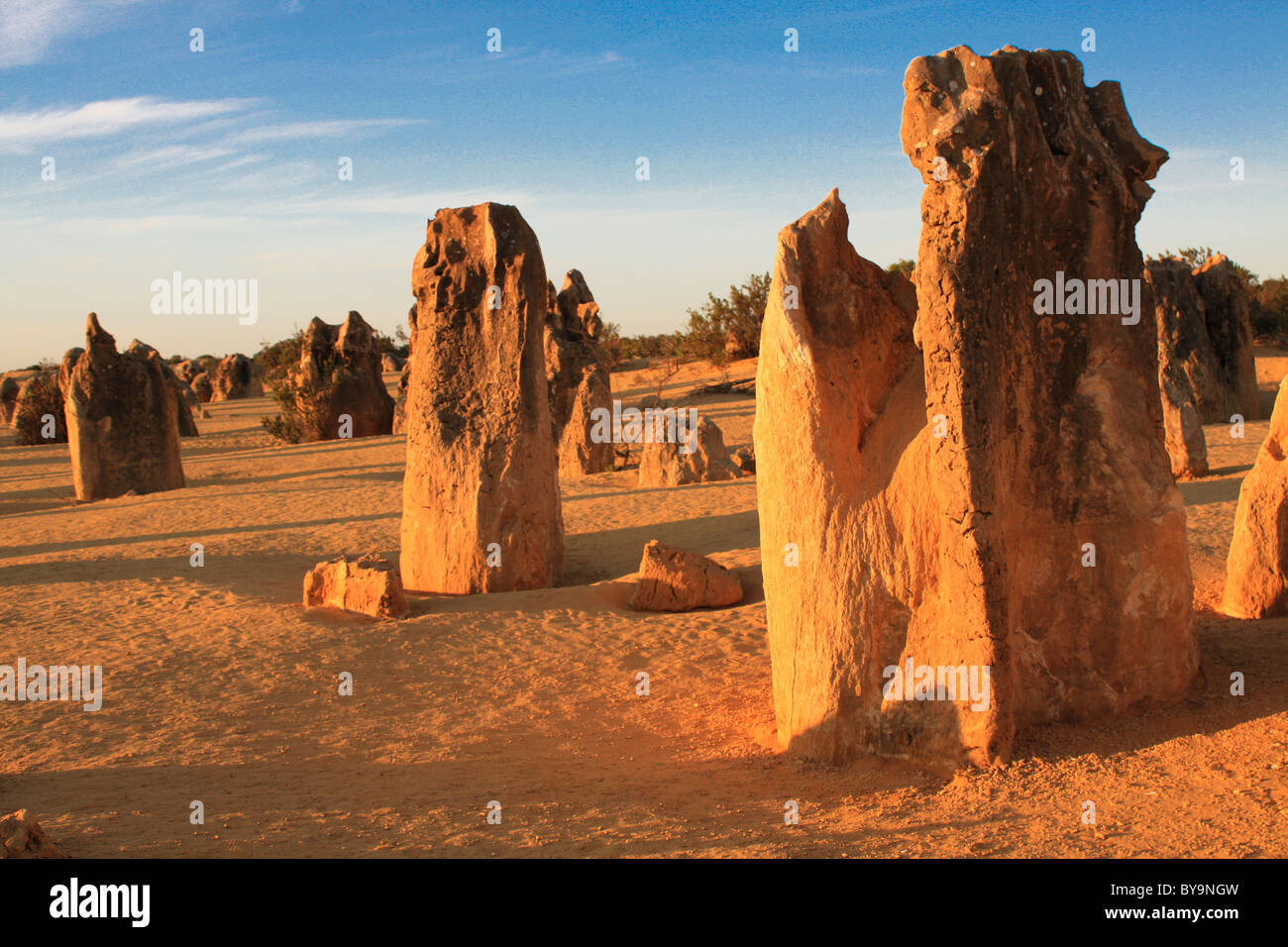 Les Pinnacles, Australie de l'Ouest, le Parc National de Nambung Banque D'Images