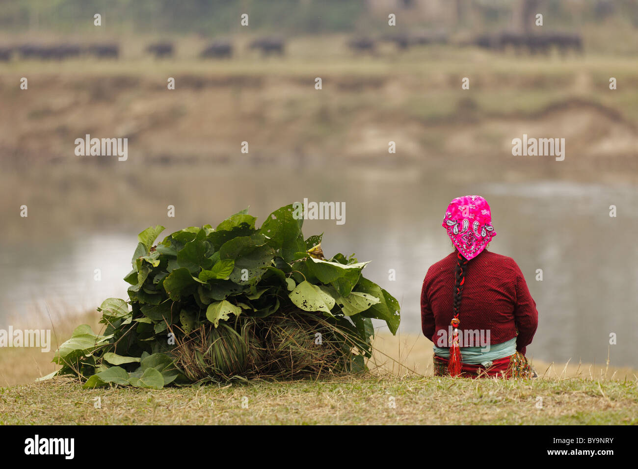 Vue arrière de l'agriculteur népalais femme assise près de la rivière Banque D'Images