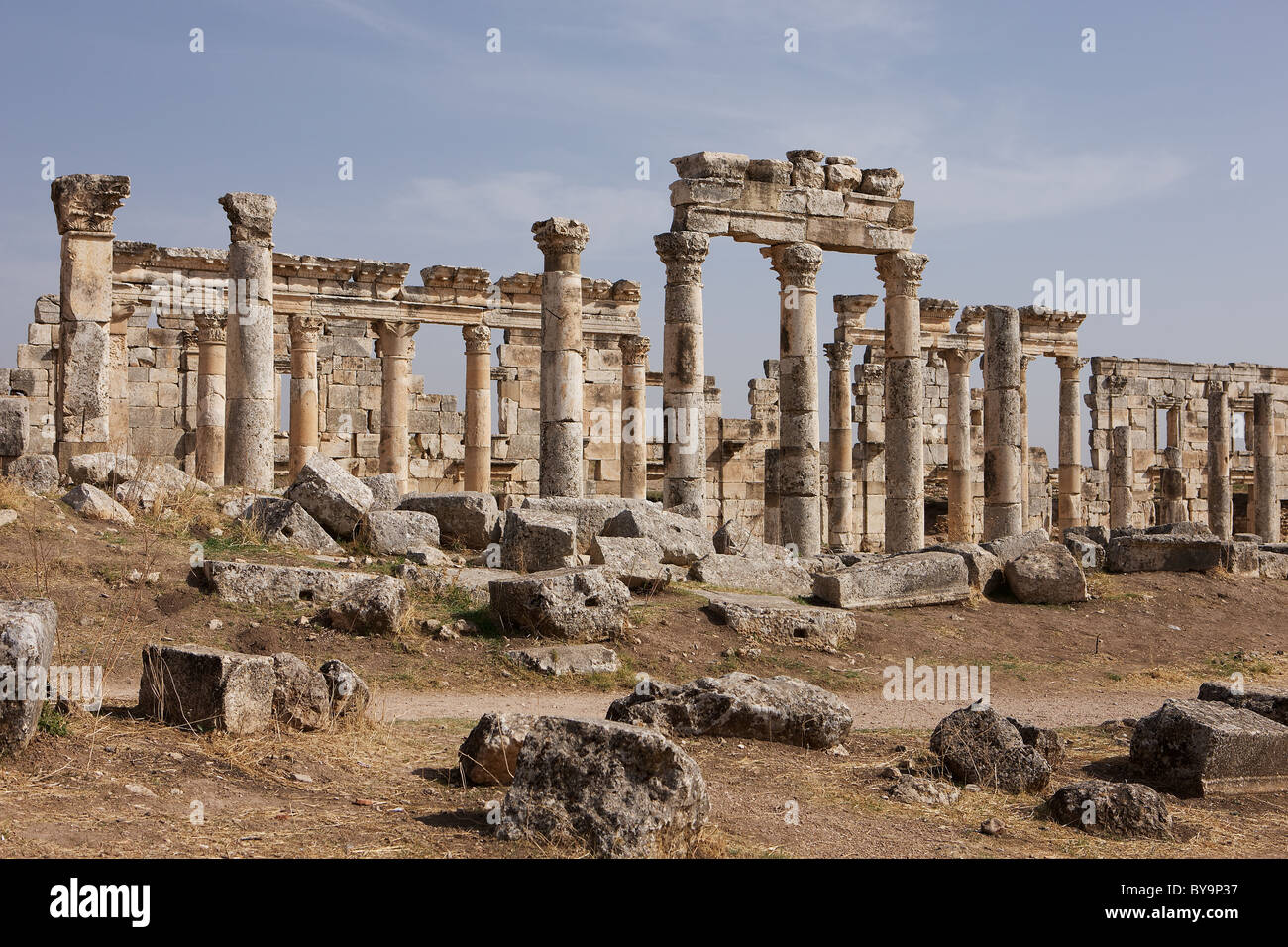 Colonnes dans les ruines d'Apamée. Le plus grand site classique de la Syrie Banque D'Images