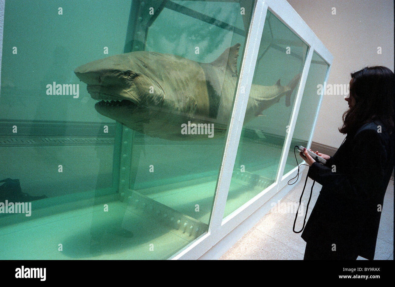 "L'impossibilité physique de la mort dans l'esprit de quelqu'un vivant" par Damien Hirst au 