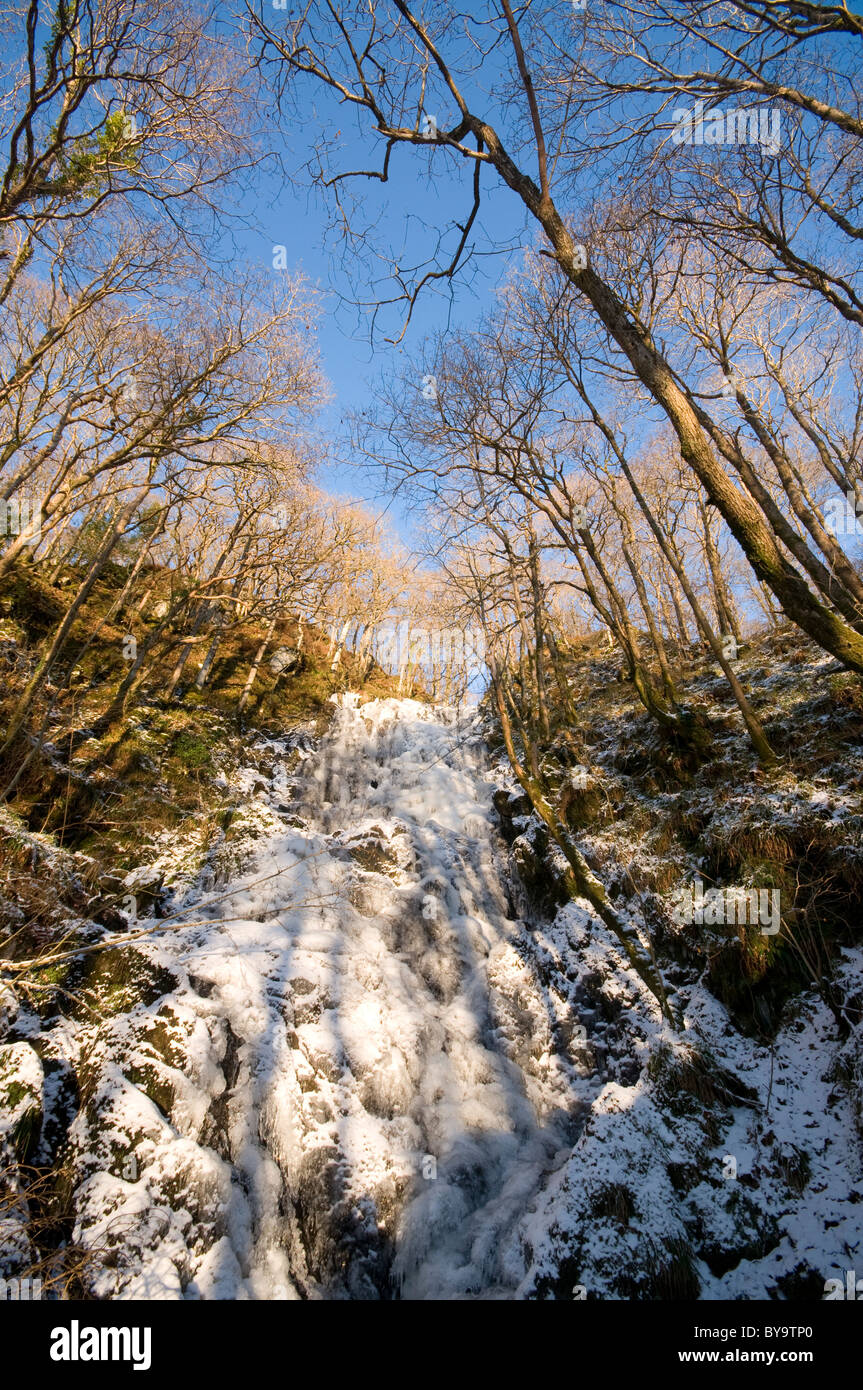 Pulhowan brûler du bois de la réserve crie Banque D'Images
