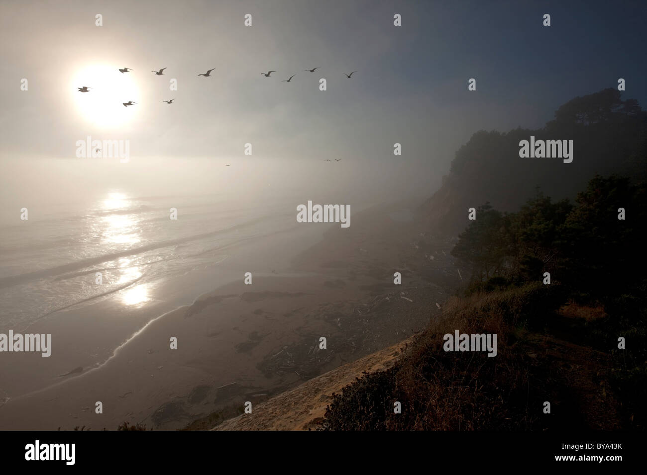 Anchor Bay, Mendocino County, Californie, USA Banque D'Images