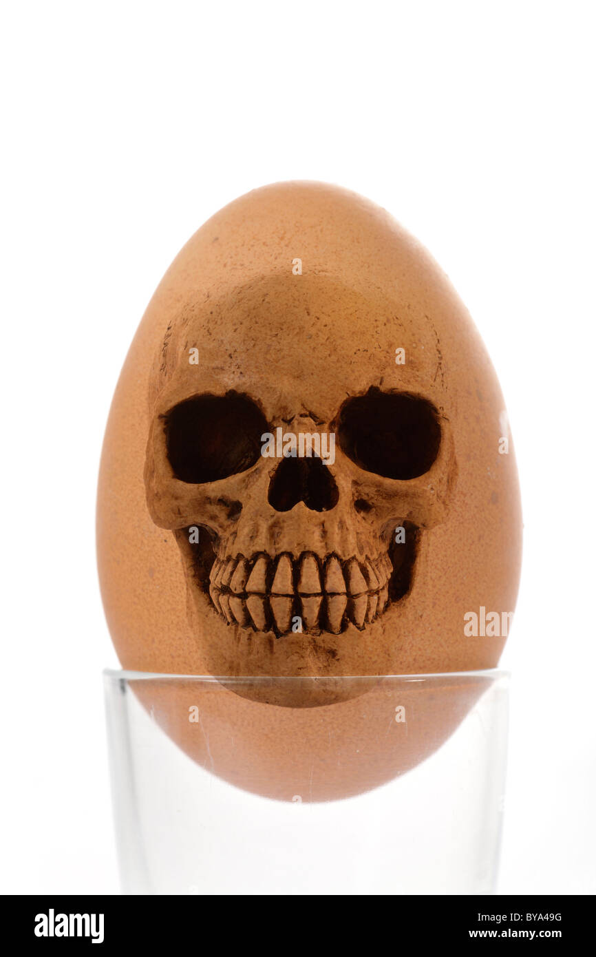 Crâne, oeuf, image symbolique de la nourriture contaminée, dioxine, scandale de l'alimentation animale Banque D'Images