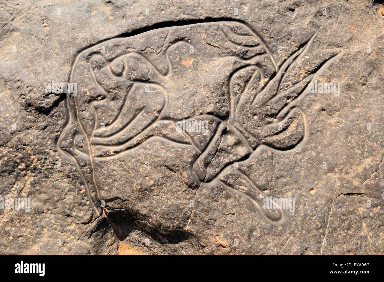 Rock célèbre gravure de la gazelle de couchage, l'art rupestre néolithique du Tinterhert, Didier Vallée, le Tassili n'Ajjer National Park Banque D'Images
