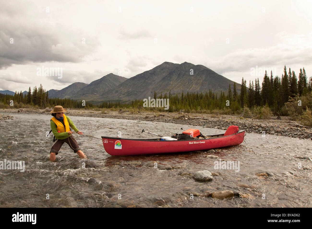 Jeune femme, doublure de barbotage, poussant, tirant un canoë en eau peu profonde, Wind River, derrière les montagnes Mackenzie, territoire du Yukon Banque D'Images