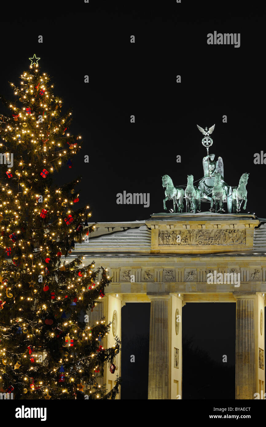 Le quadrige de la porte de Brandebourg avec un arbre de Noël, Noël, Berlin, Germany, Europe Banque D'Images