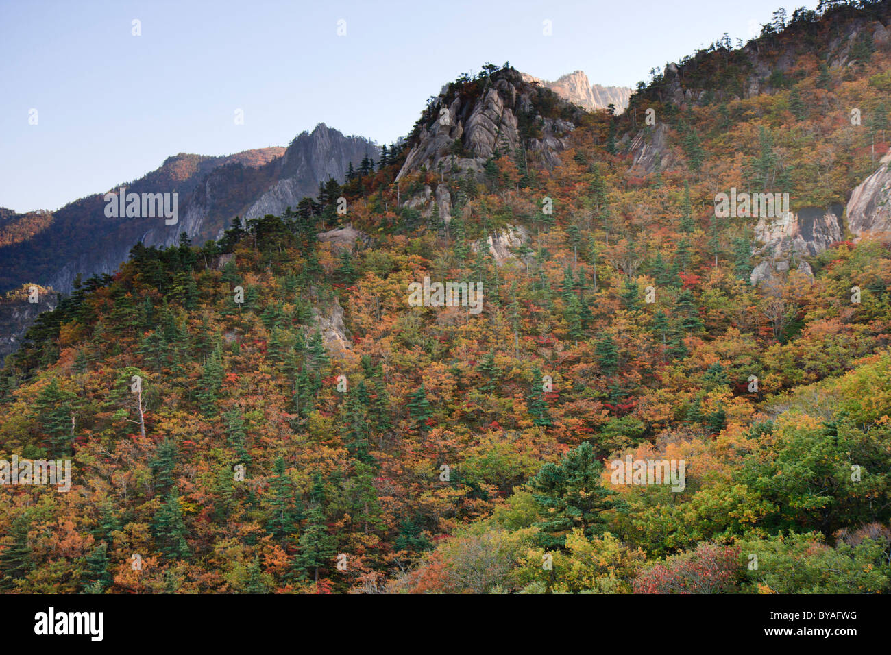 Le Parc National de Seoraksan couleurs d'automne, de Corée du Sud Banque D'Images