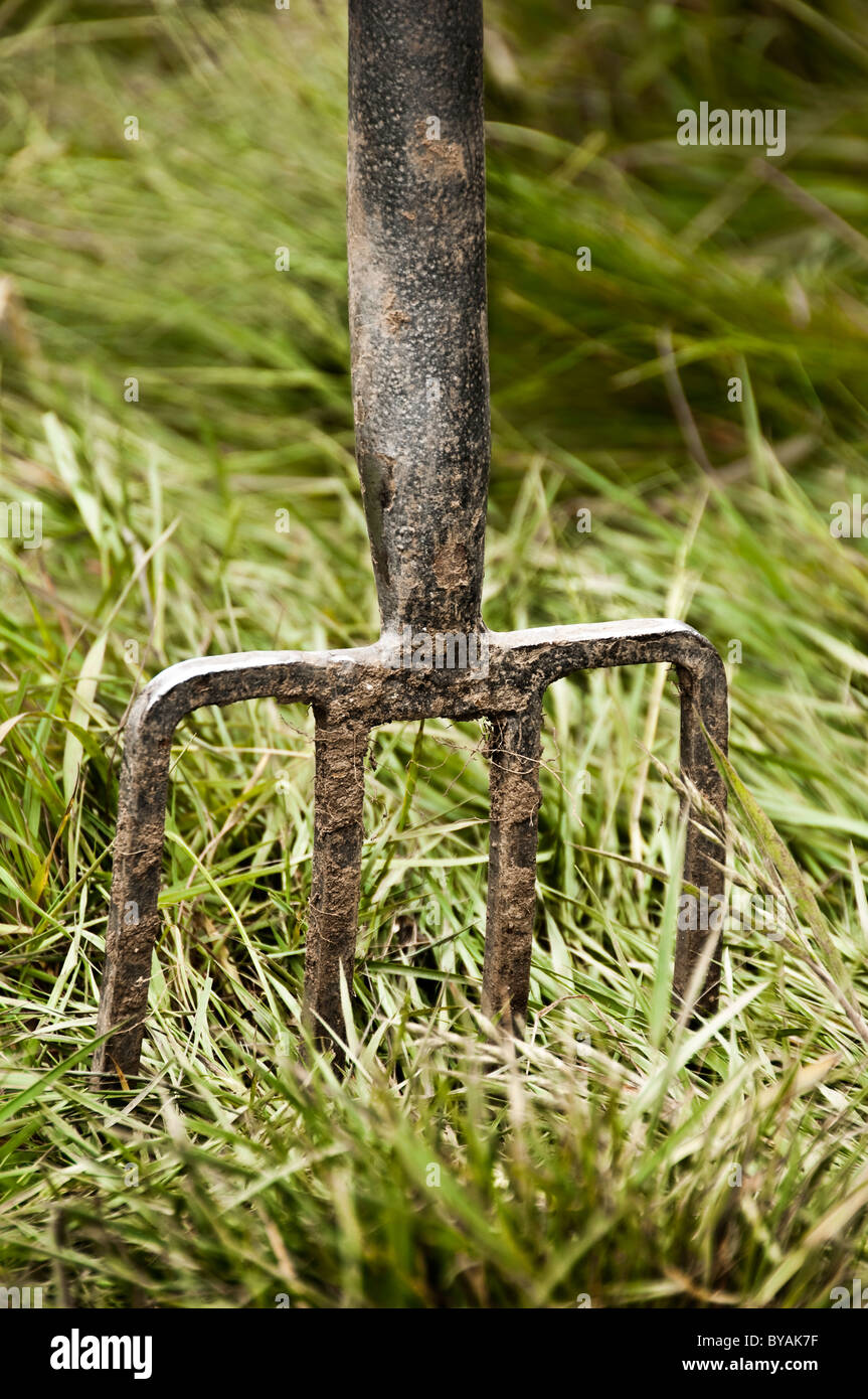 Muddy garden fork Banque D'Images