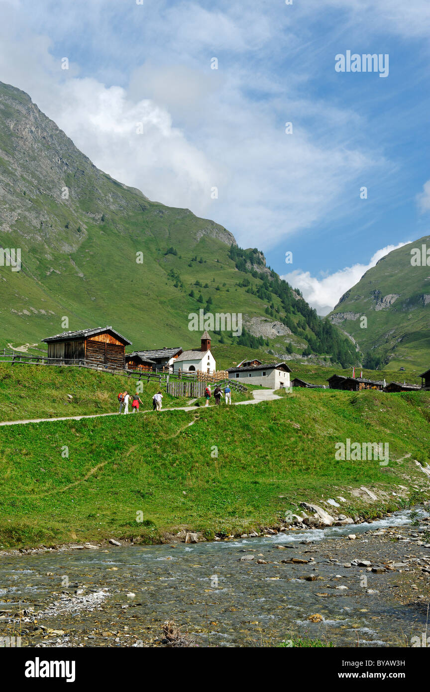 Fanealm, Fane Alm, vallée de Vals, Val Pusteria, Pfunderer Montagnes, Alto Adige, Italie, Europe Banque D'Images