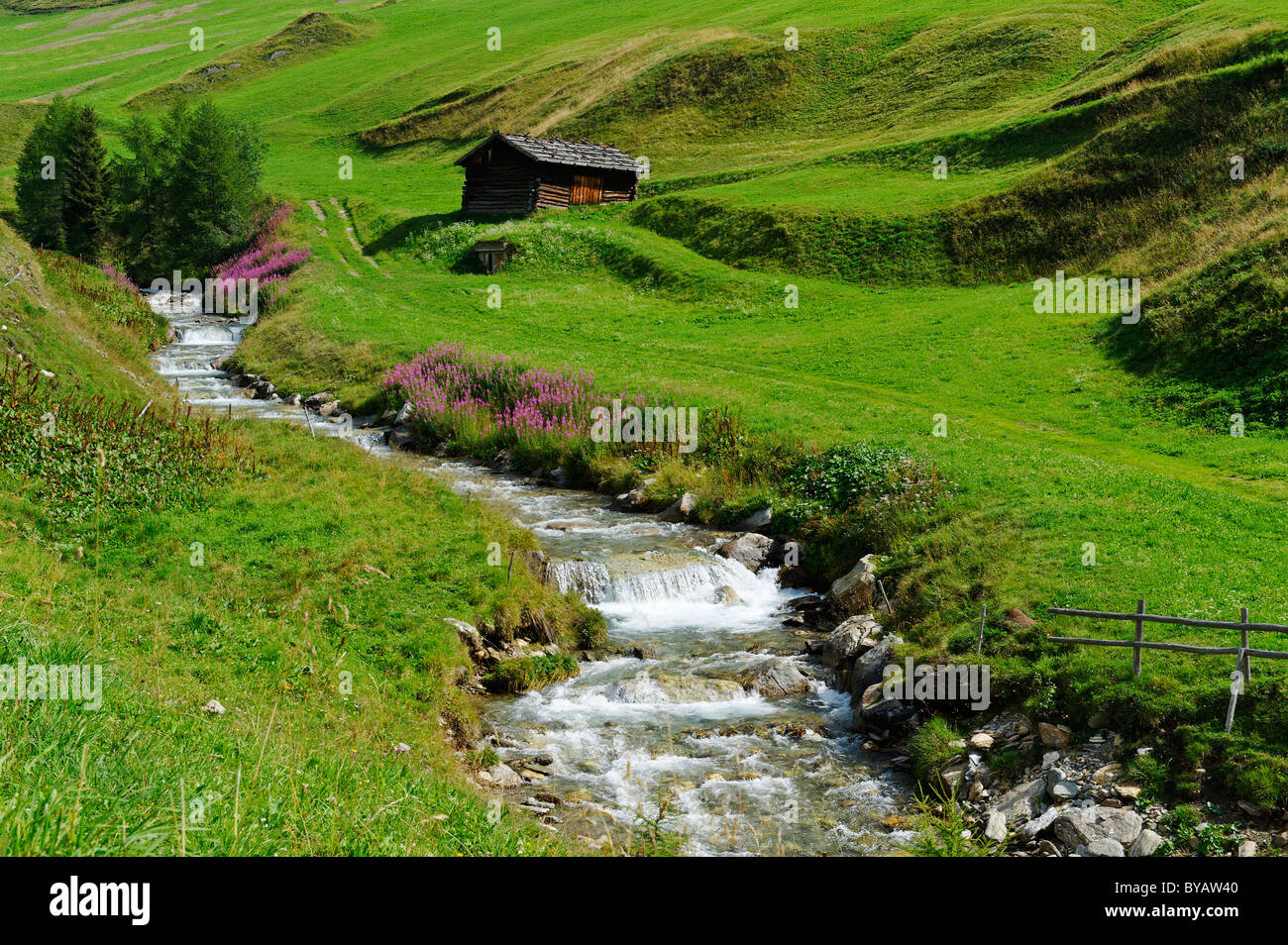 Fanealm, Fane Alm, avec la société Valser Bach, ruisseau de la vallée de Vals, Val Pusteria, Pfunderer Montagnes, Alto Adige, Italie, Europe Banque D'Images