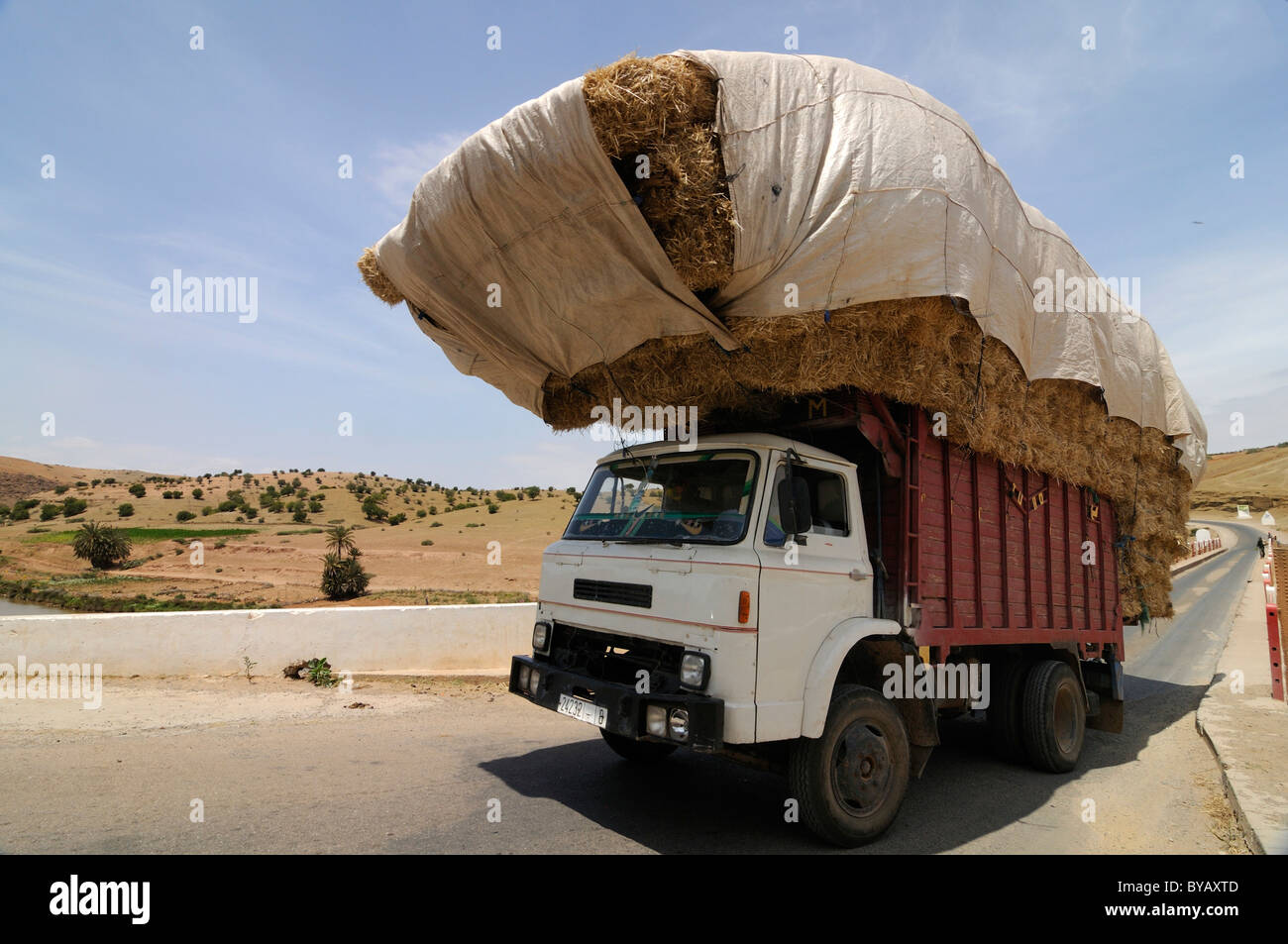 Camion Militaire Blindé Dans Le Désert | Photo Premium