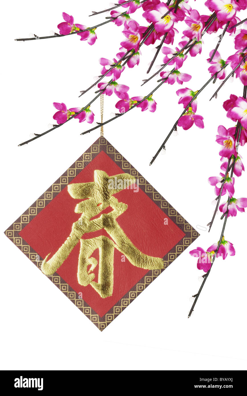 Le nouvel an chinois l'ornement et les fleurs de cerisier sur fond blanc Banque D'Images