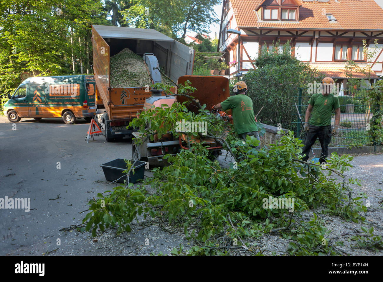 Lumberjack jetant une arborescence d'haché dans une déchiqueteuse pour le déchiquetage, l'Allemagne, de l'Europe Banque D'Images