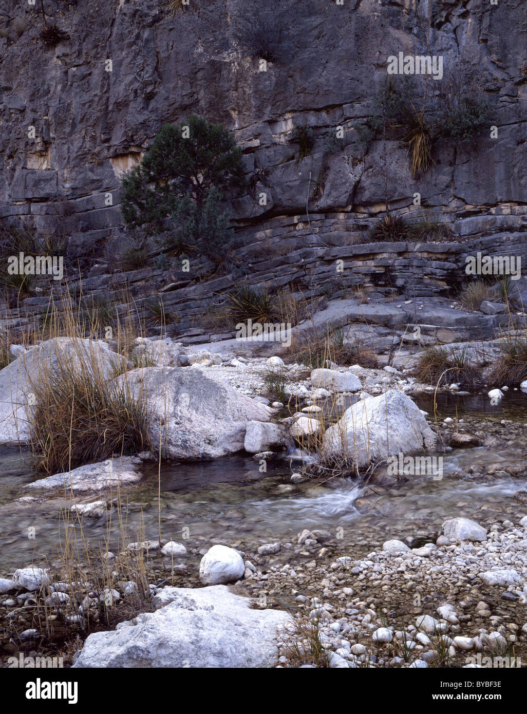 McKittrick Canyon, Stream, des piscines, des Guadalupe Mountains National Park, Texas Banque D'Images