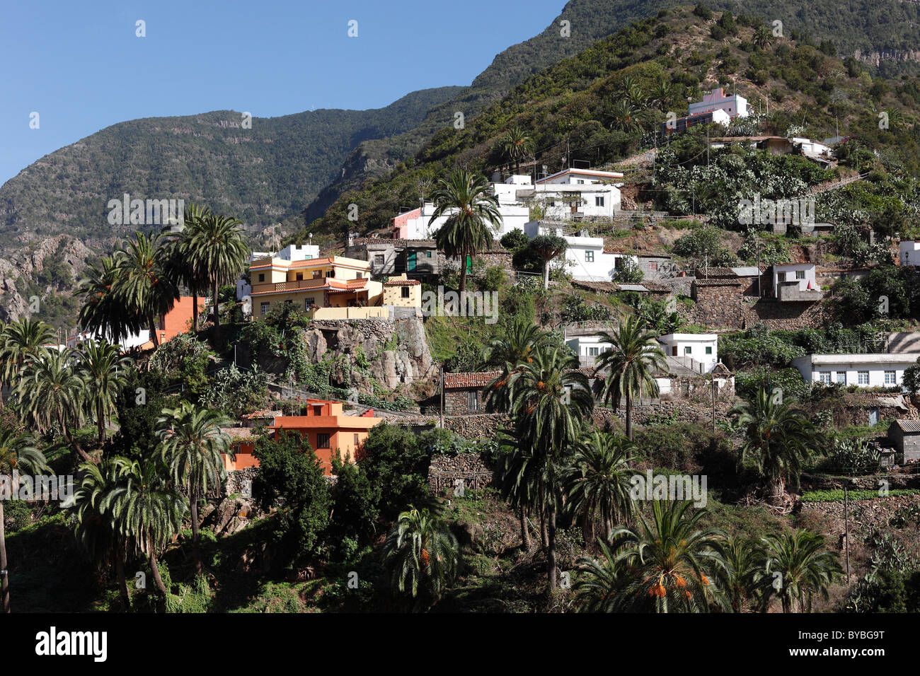 Banda Las Rosas près de Vallehermoso, île de La Gomera, Canary Islands, Spain, Europe Banque D'Images