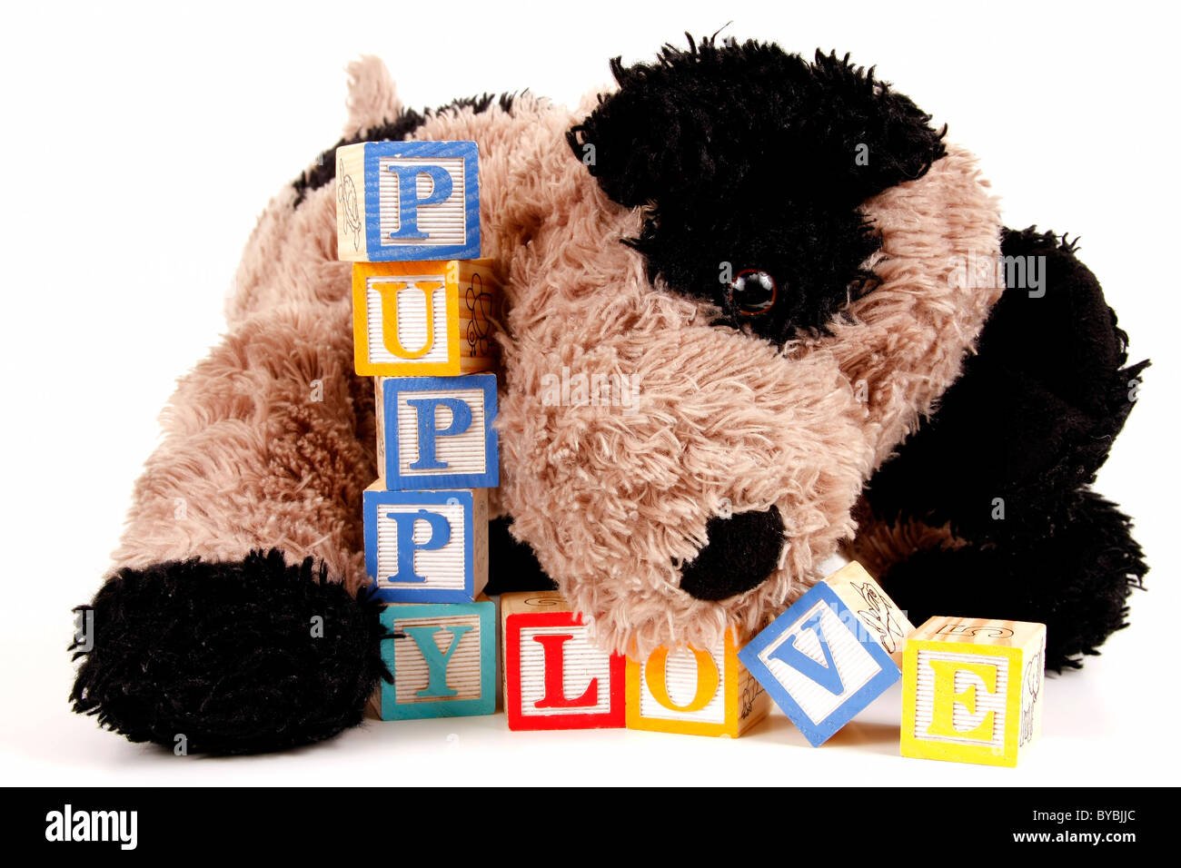 Puppy and stuffed animal Banque de photographies et d'images à haute  résolution - Alamy