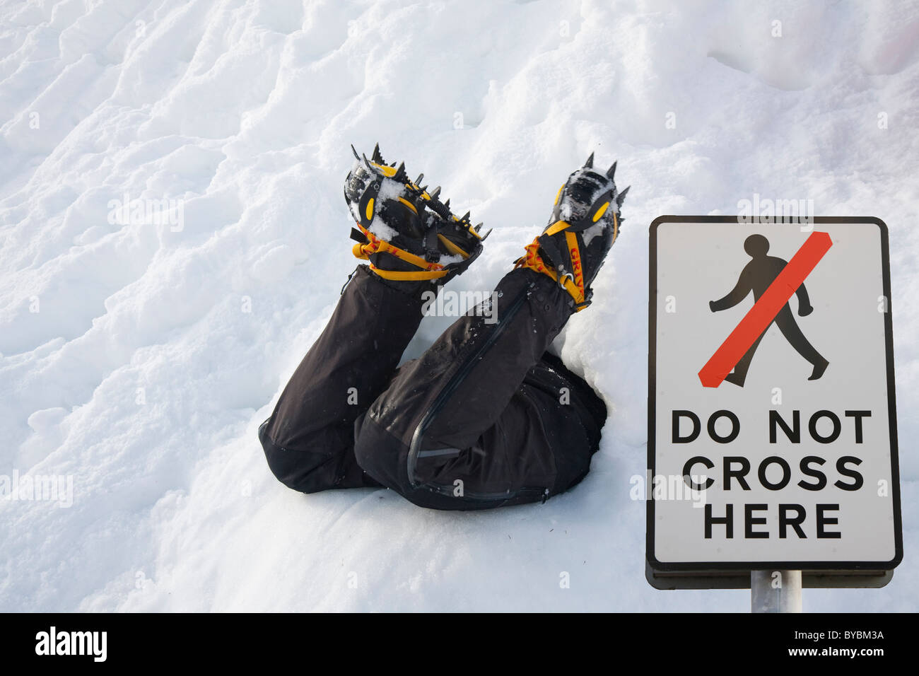 L'alpiniste la construction d'un trou dans la neige sur le Cairngorm Cairngorm National Park en Ecosse UK. Banque D'Images