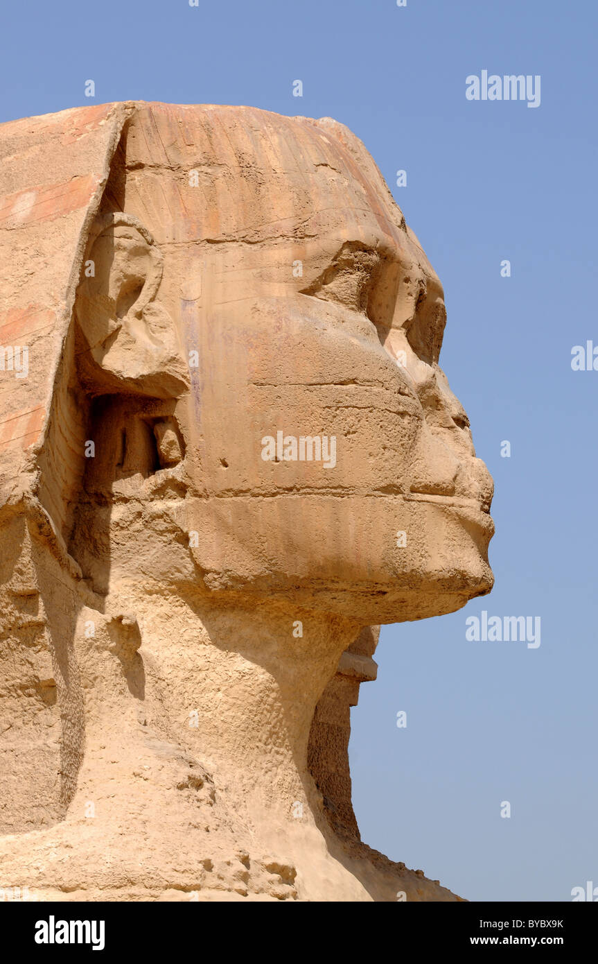 Sphinx, Giza, Egypte Banque D'Images
