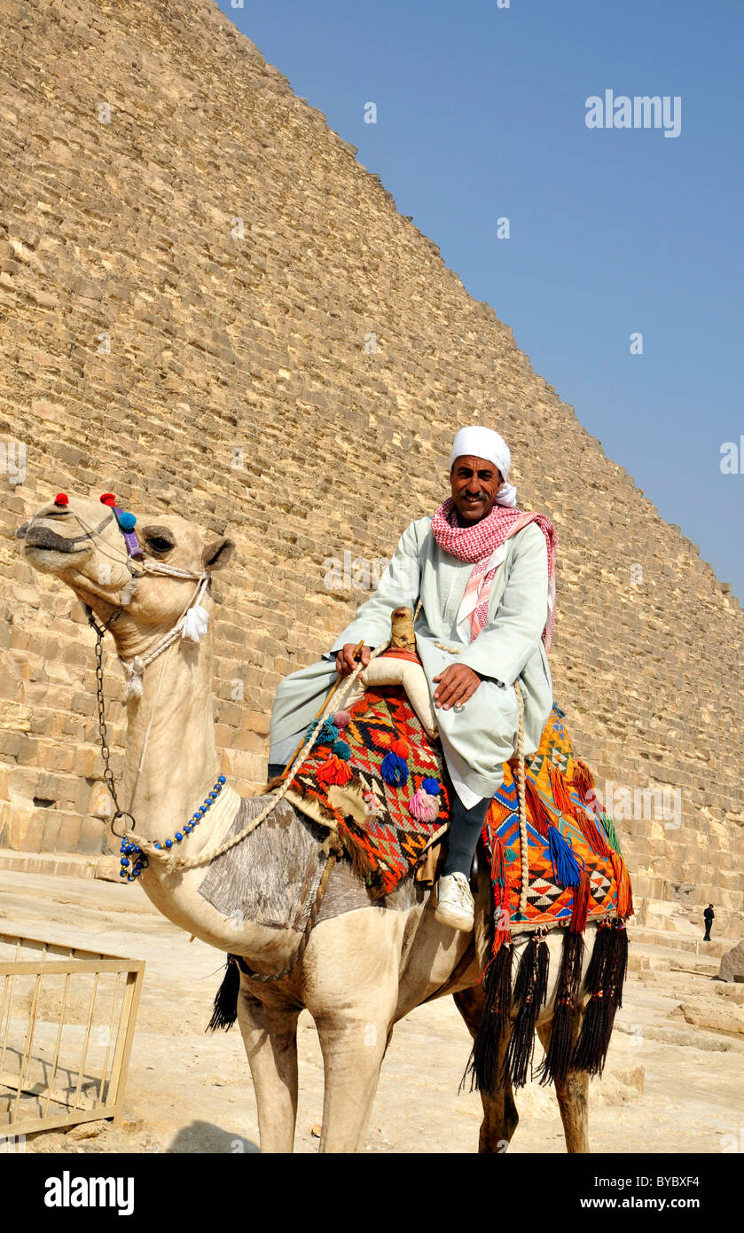 L'homme local sur un chameau à l'une des pyramides de Gizeh, en Egypte. Banque D'Images