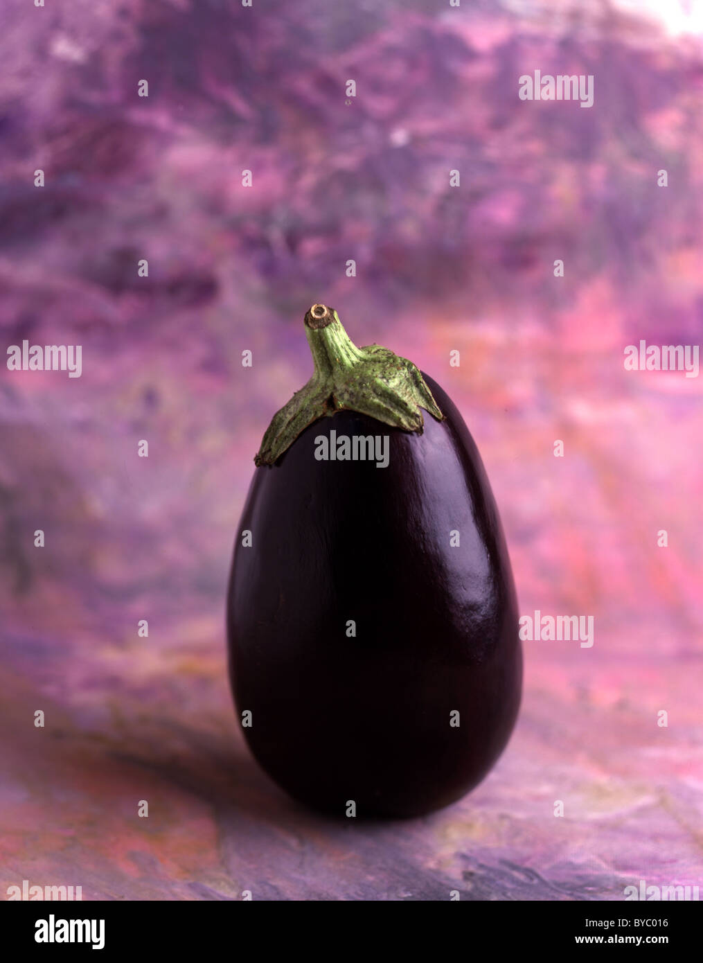 Un comité permanent d'aubergine contre une belle toile pourpre Banque D'Images