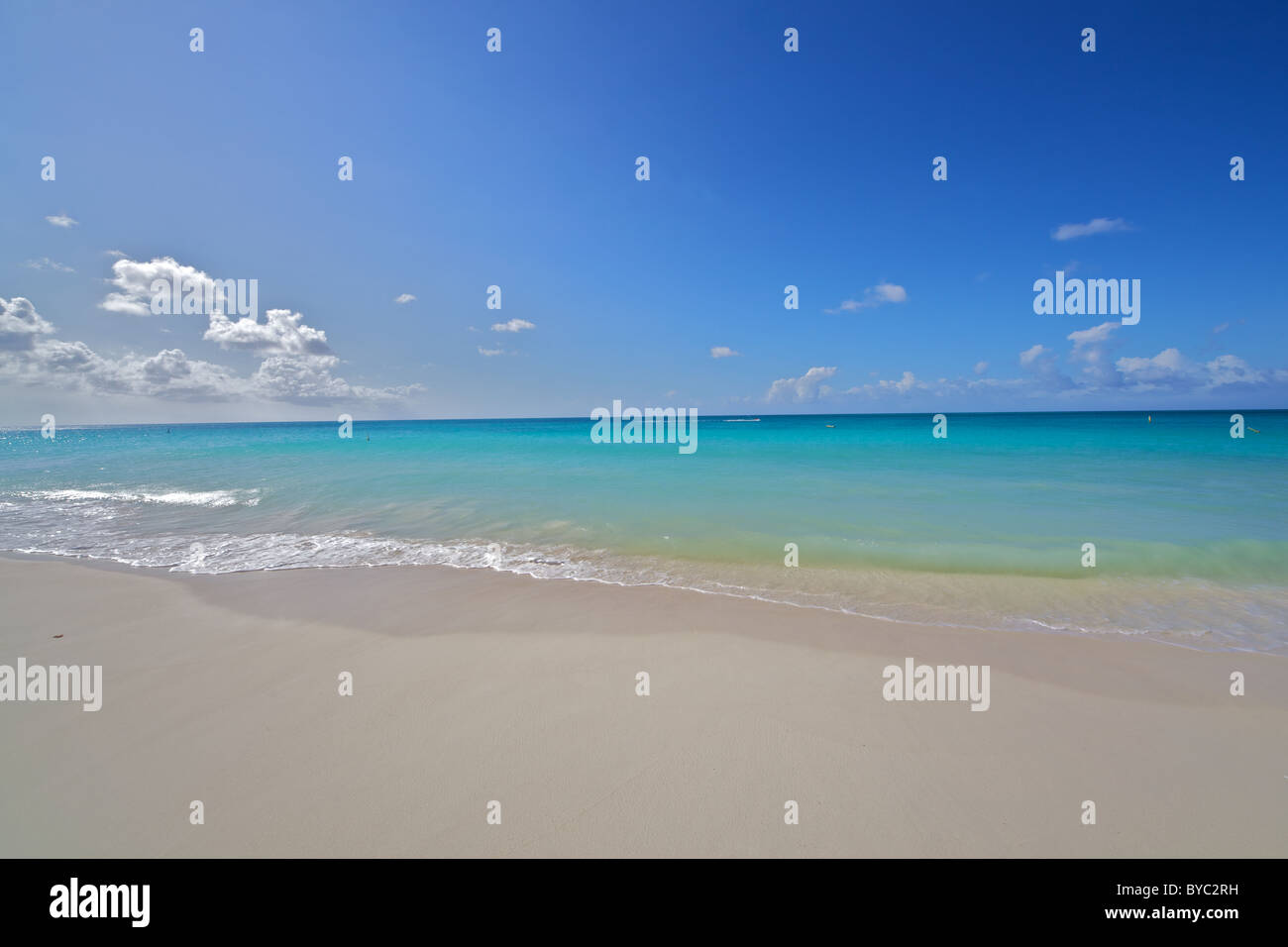 Plage de sable blanc d'Aruba Banque D'Images