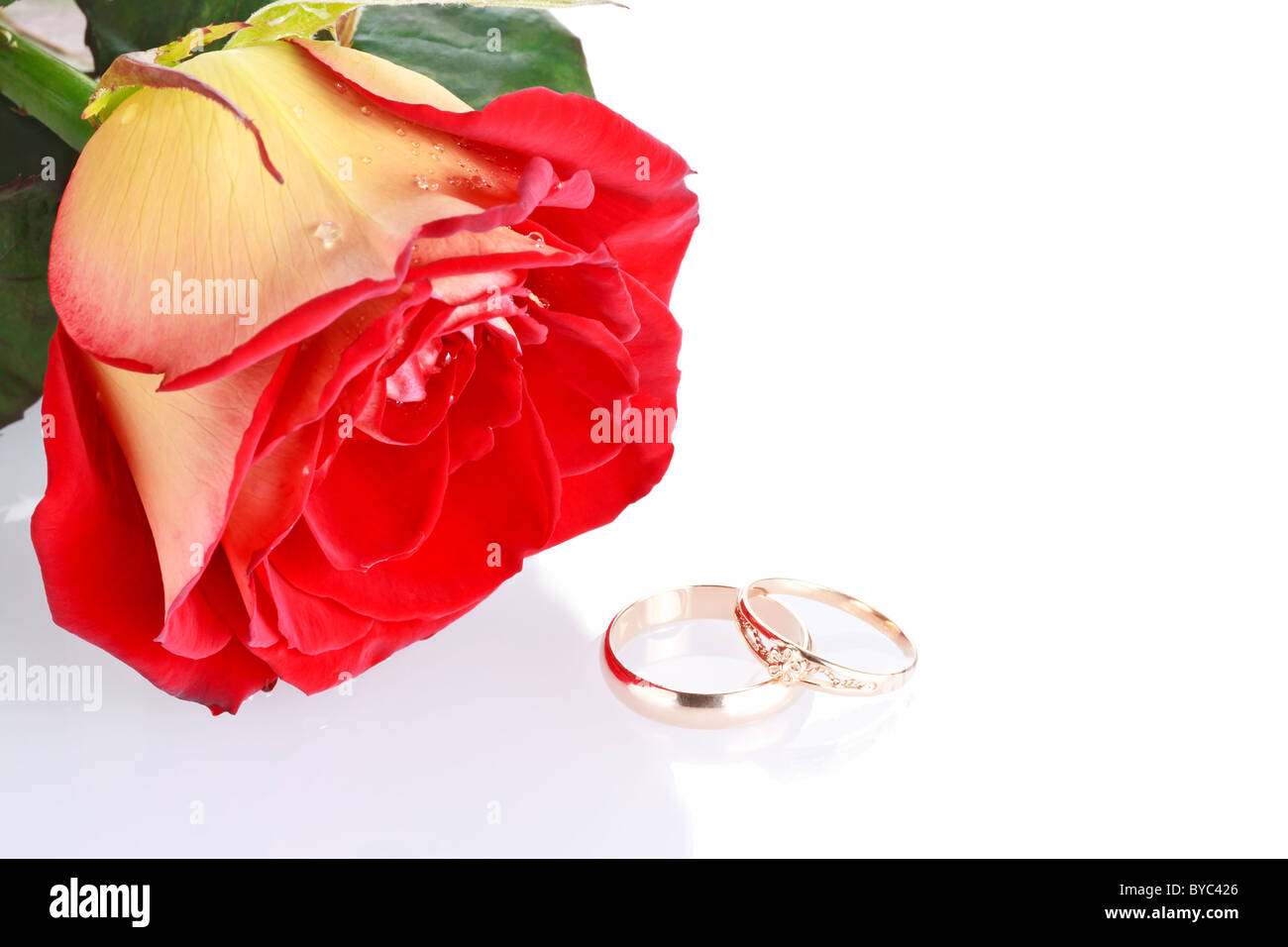 Deux anneaux de mariage avec une rose rouge frais isolé sur blanc comme concept de mariage Banque D'Images