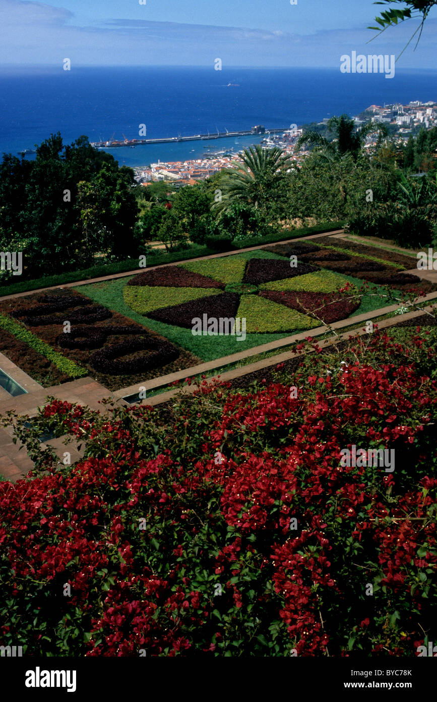 Le Jardim Botânico (Jardin Botanique) près de Funchal, sur l'île de Madère l'Atlantique Banque D'Images