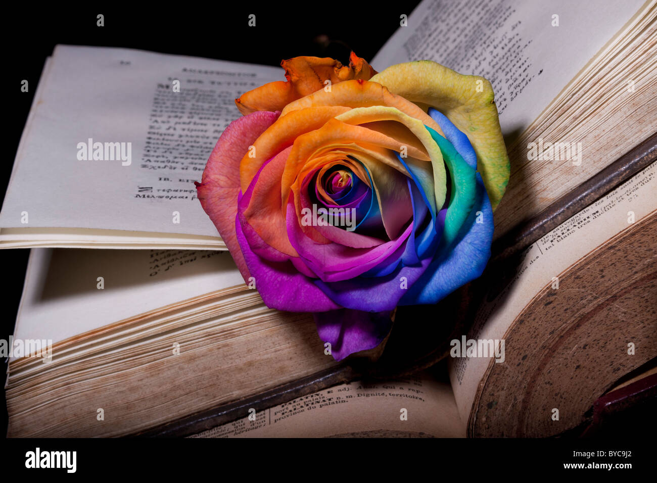 Arc-en-ciel rose et vieux poèmes livre ancien Banque D'Images