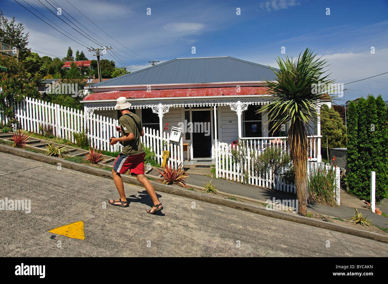 Baldwin Street (rue la plus raide du monde), du nord-est de la vallée, Dunedin, Otago, île du Sud, Nouvelle-Zélande Banque D'Images