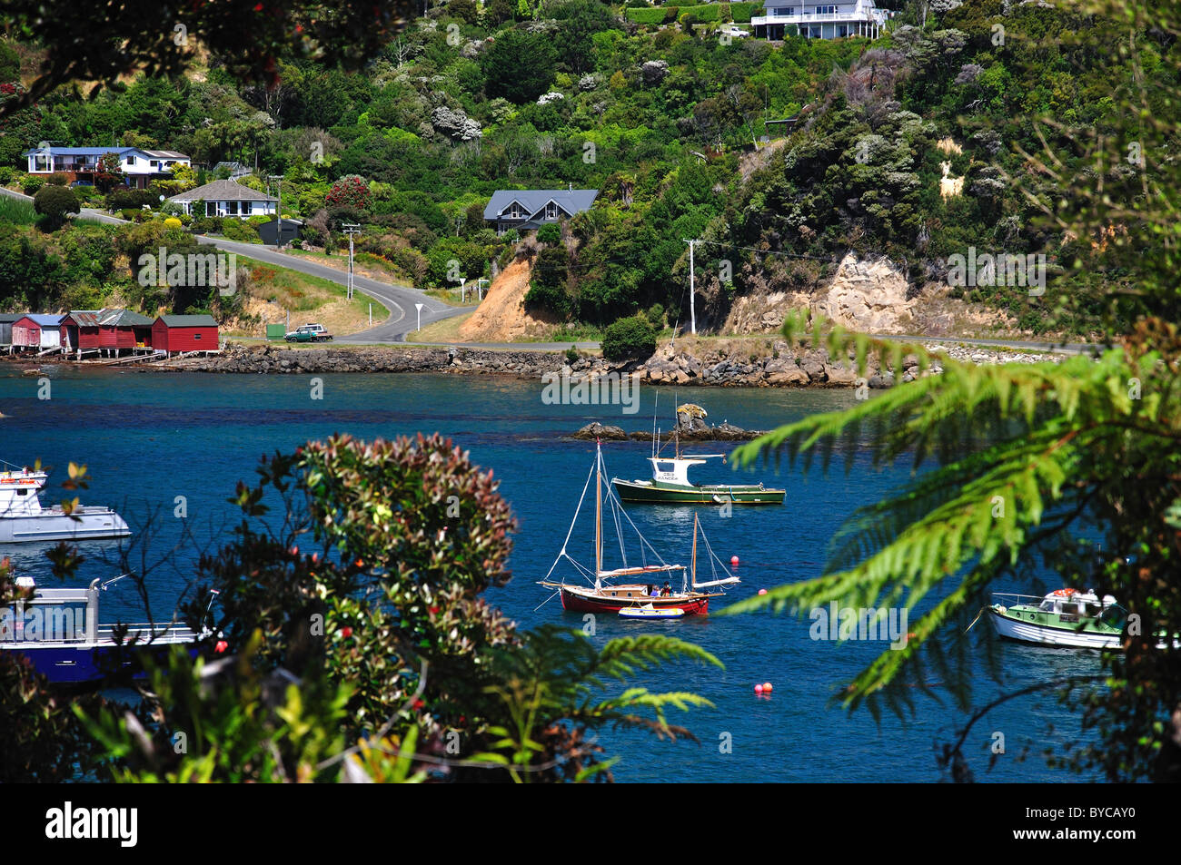 Vue sur le port, Oban, île Stewart (Rakiura), région du Sud, Nouvelle-Zélande Banque D'Images