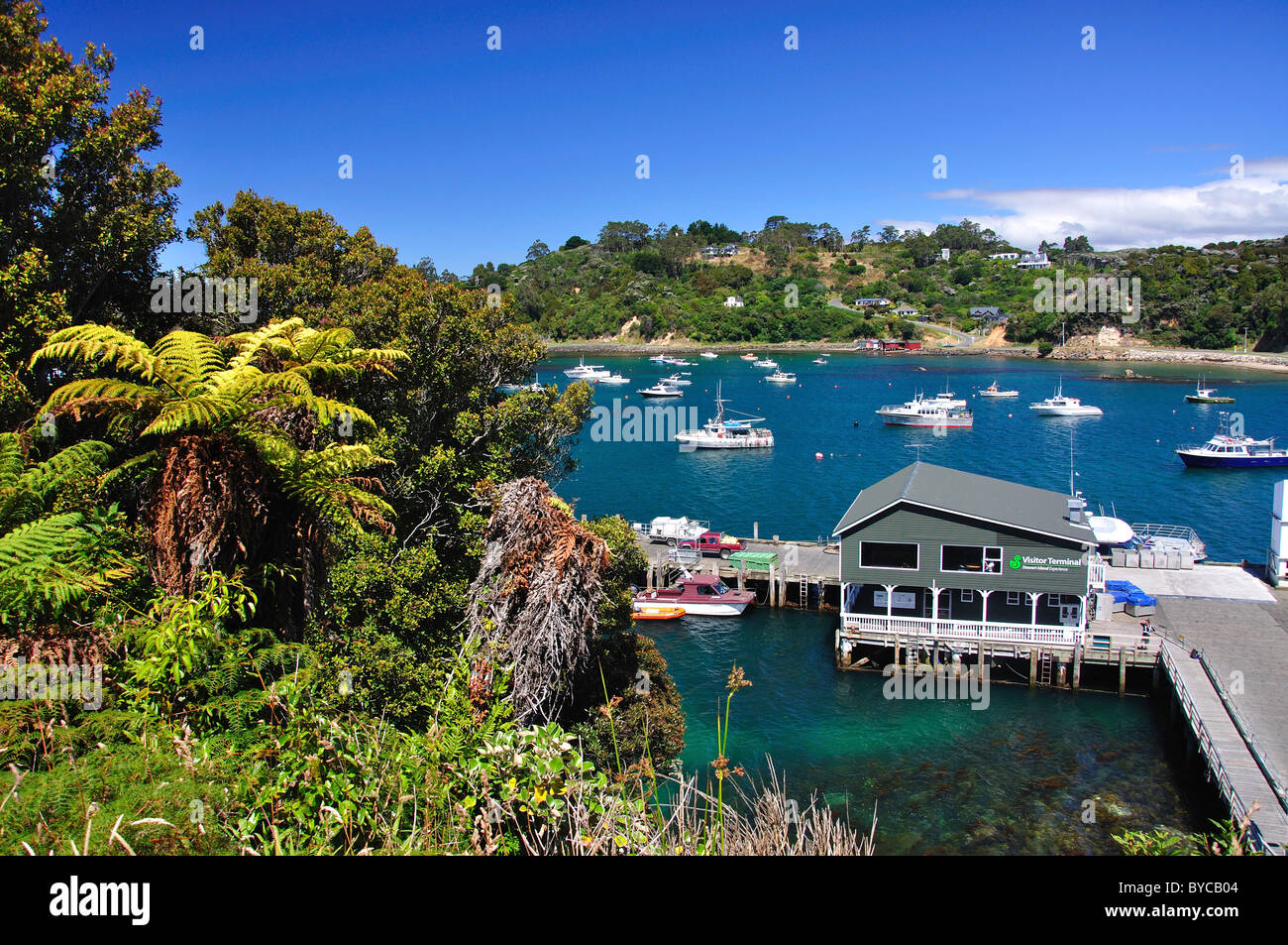 Vue sur le port, Oban, île Stewart (Rakiura), région du Sud, Nouvelle-Zélande Banque D'Images