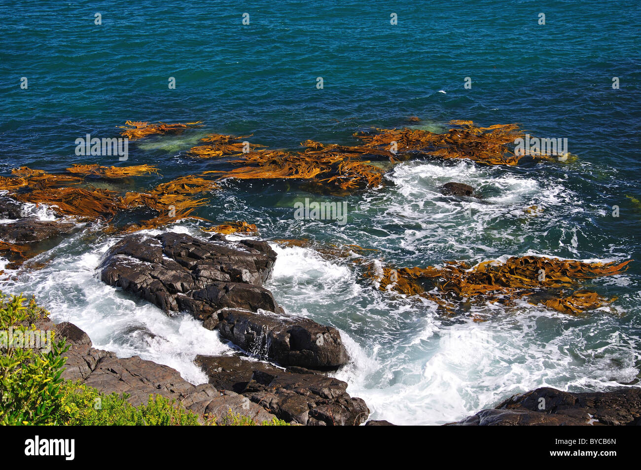 Vagues se brisant sur les rochers, à Stirling Point, Bluff, Southland, Région de l'île du Sud, Nouvelle-Zélande Banque D'Images