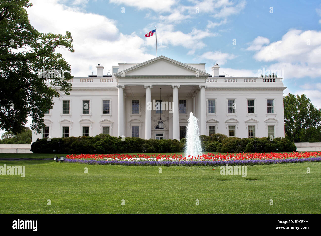 La Maison Blanche à Washington DC au printemps avec fontaine et de tulipes rouges. Banque D'Images