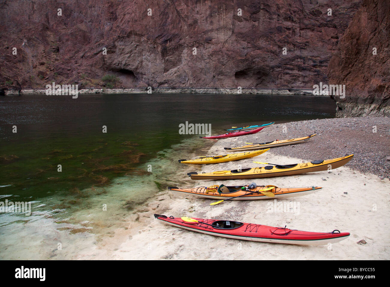 Kayak à Black Canyon de la rivière Colorado, désert de Mojave. Banque D'Images